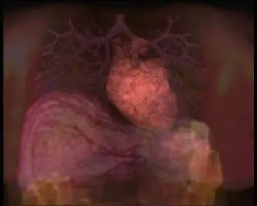 BBC - The Human Body