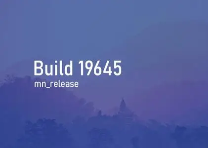 Windows 10 Insider Preview (20H2) Build 19645.1