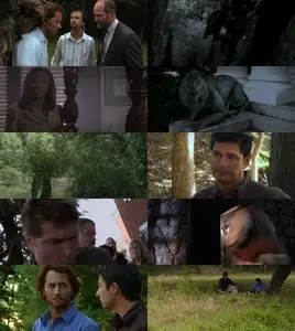 Pilgrim's Progress (2008)
