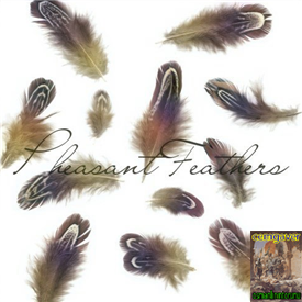 Pheasant Feathers Brushes