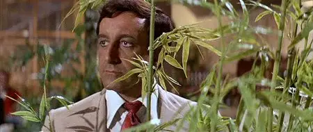 The Party - Blake Edwards (1968)