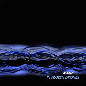 WMRI - In Frozen Drones (2010/2012)