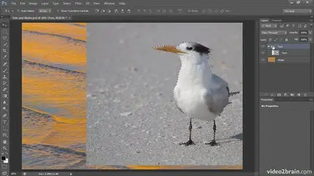 Video2brain - Creating Composites in Photoshop