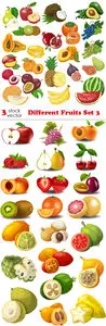 Vectors - Different Fruits Set 3