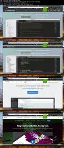Practical Web Design & Development: 7 Courses in 1