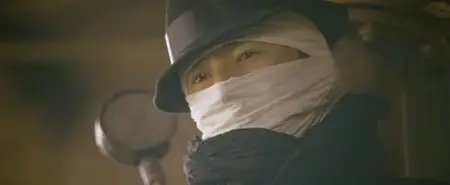 The Treasure Hunter (2009)
