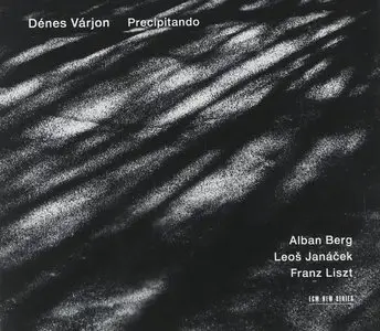 Denes Varjon - Precipitando (2012) [Official Digital Download]