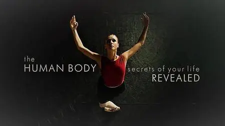 BBC - The Human Body: Secrets of Your Life Revealed (2017)