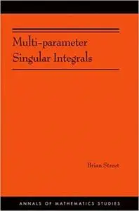 Multi-parameter Singular Integrals