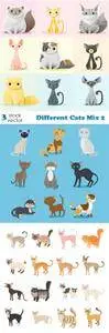 Vectors - Different Cats Mix 2