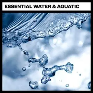 Big Room Sound Essential Water and Aquatic WAV