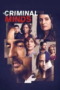 Criminal Minds S08E19
