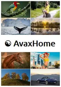 AvaxHome Wallpapers Part 61