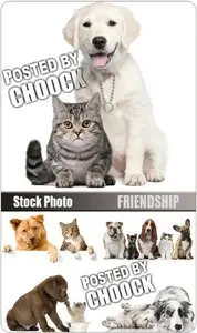 Friendship - Stock Photo