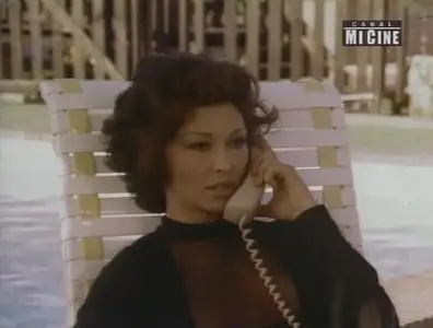 Sex Call / La llamada del sexo (1977)