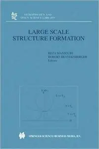 Large Scale Structure Formation