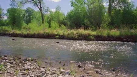 Journey with Dylan Dreyer S02E09