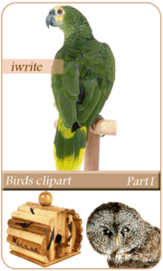 Birds clipart part1