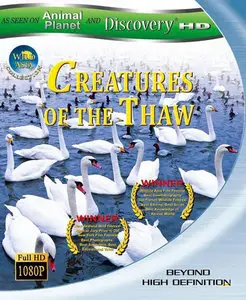 Wild Asia: Creatures of the Thaw (2010)
