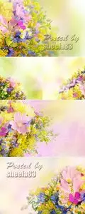 Stock Photo - Summer Flowers Bouquet