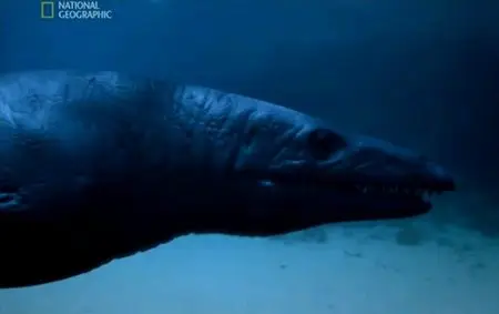 National Geographic - Evolutions (2008) DVDRip