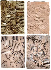 Wet Cardboards Collage Textures