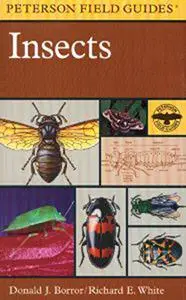 Field Guide to Insects (Peterson Field Guides)
