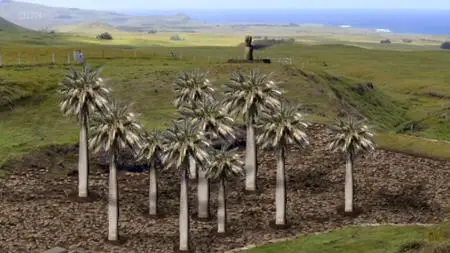 BBC - Easter Island: Mysteries of a Lost World (2014)