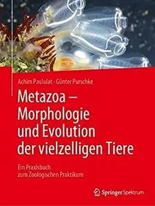 Metazoa - Morphologie und Evolution der vielzelligen Tiere