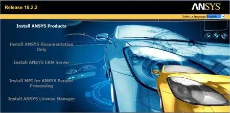 ANSYS Products v18.2.2 Update Only (x64) Multilingual (Win/Lnx)