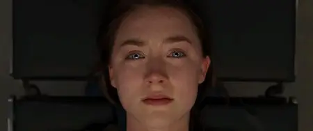 The Host (2013)