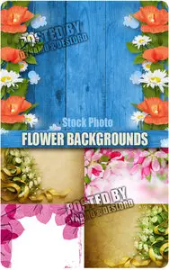 Flower Backgrounds - UHQ Stock Photo