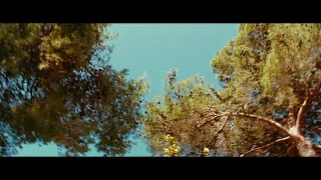 Miral (2010)