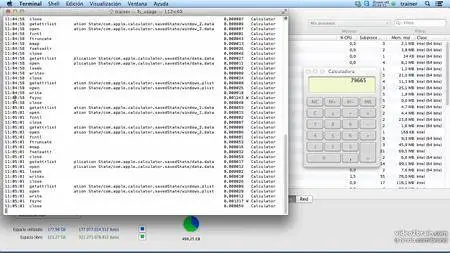 Fundamentos de la programación: Código eficiente