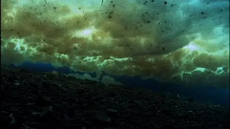 Encounters at the End of the World (2007) [Re-UP]