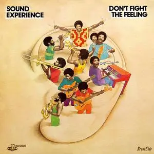 Sound Experience - Don't Fight The Feeling (1974/2011)