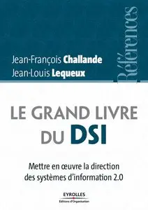 Le Grand Livre du DSI : Mettre en oeuvre la direction des systèmes d'information 2.0 