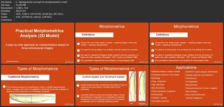 Practical Morphometrics Analysis (3D Model)