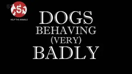 Ch5. - Celebrity Dogs Behaving (Very) Badly for Help the Animals (2019)