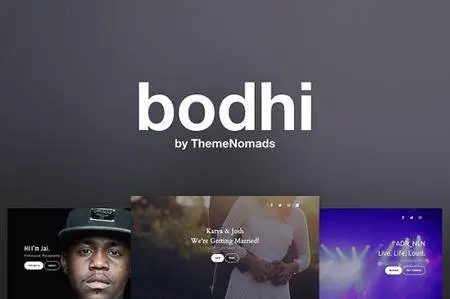 Bodhi v1.0.2 - One Page Wordpress Theme - CM 1845341