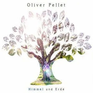 Oliver Pellet - Himmel und Erde (2017) [Official Digital Download 24-bit/96kHz]