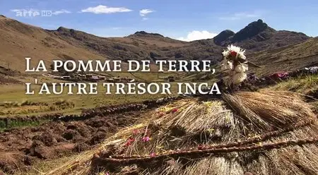 (Arte) La pomme de terre, l'autre trésor inca (2015)