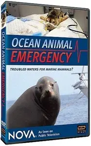 PBS - NOVA: Ocean Animal Emergency (2008)