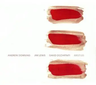 Andrew Downing, Jim Lewis, David Occhipinti - Bristles (2014) {Occdav Music OM007}