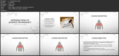 Introduction To Juvenile Delinquency