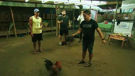 Press S03E17