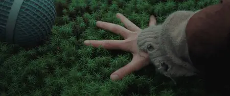 Rabbit Trap (2025)