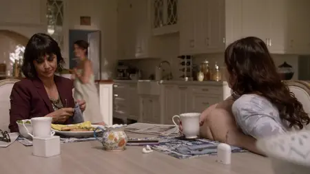 Shameless - Nicht ganz nüchtern S10E10