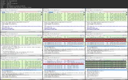 Wireshark: Functionality [Updated: 3/3/2025]