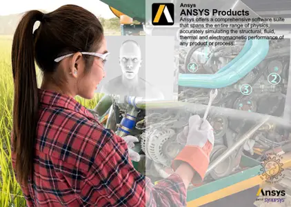 ANSYS Products+ 2025 R2.03 (SP3)
